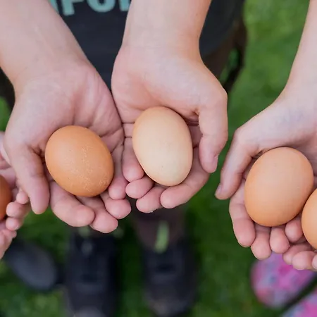 Appartement 1 - Bauernhof Hopp Vadersdorf